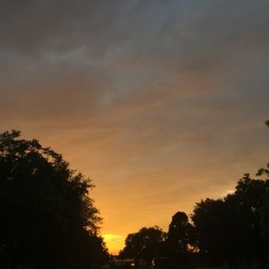 Meet your Posher, Perla